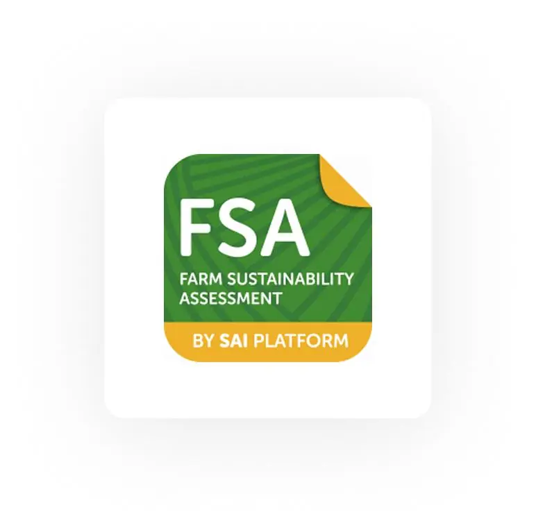 FSA