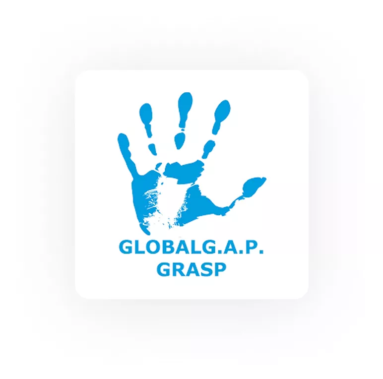 Globalg