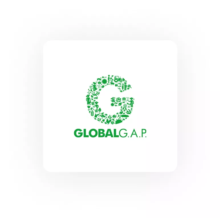 global