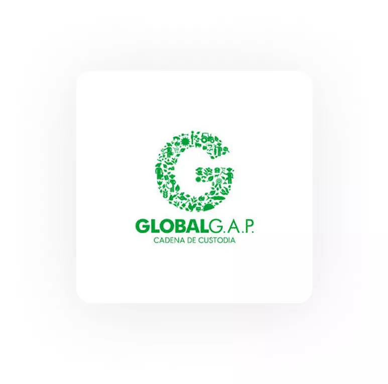 globalga