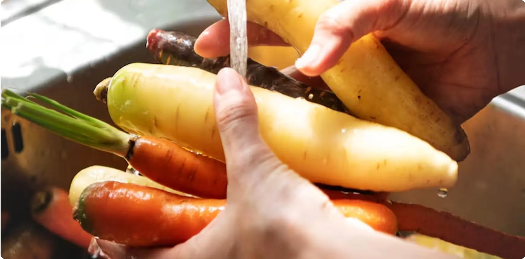 La Importancia de la Limpieza y Desinfección de Frutas y Hortalizas en el Proceso Agroalimentario
