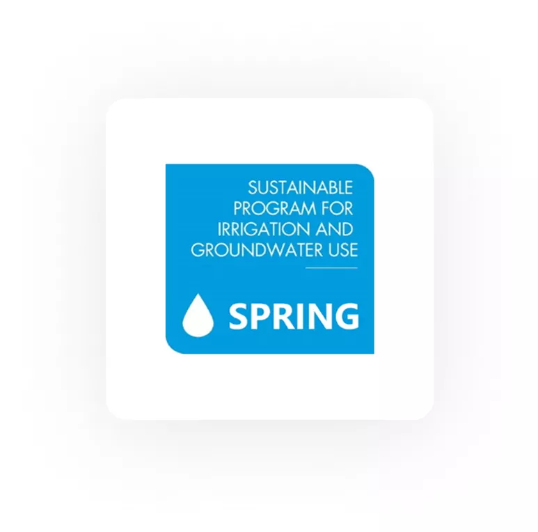 spring