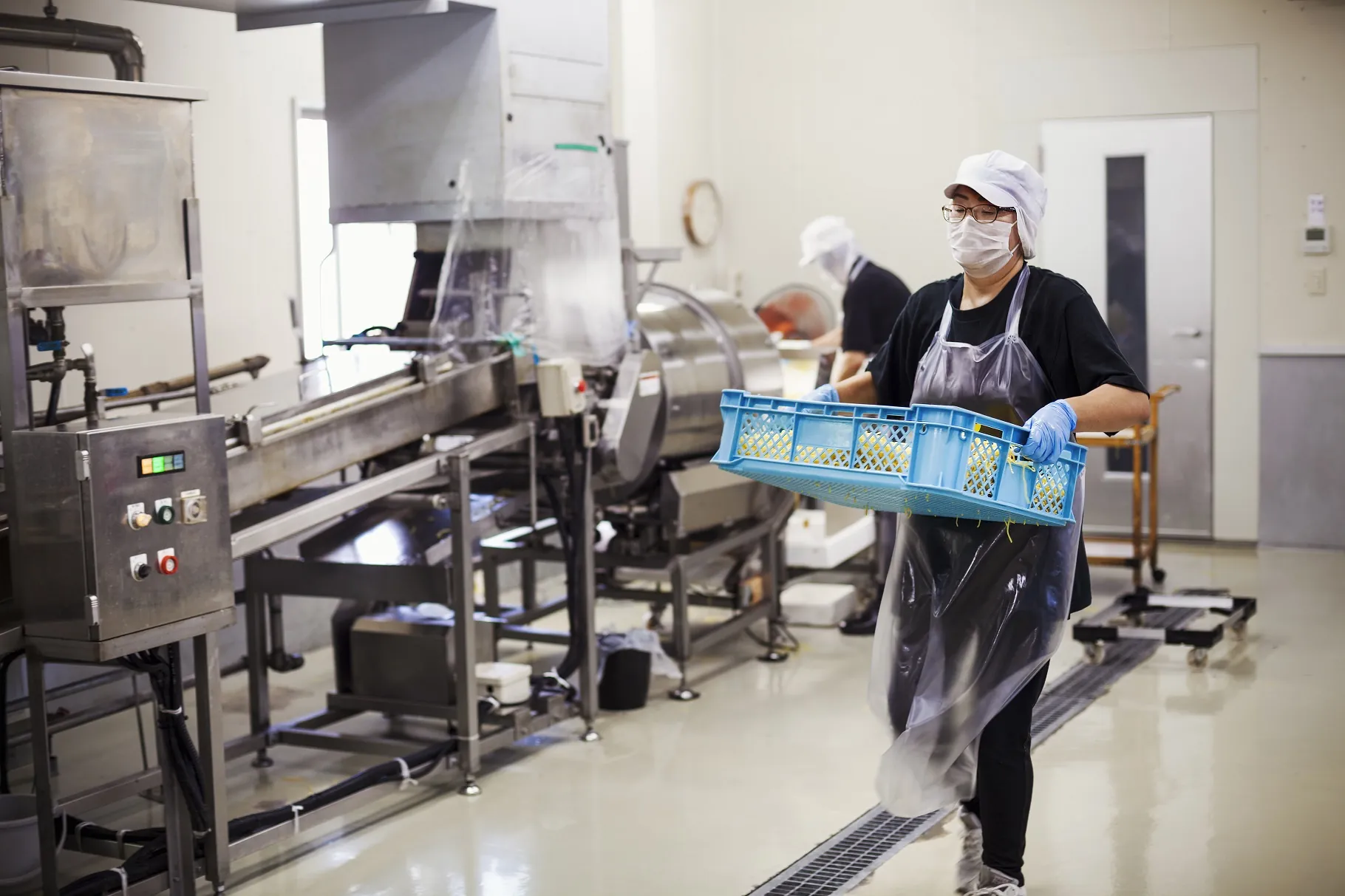 certificado IFS alimentación