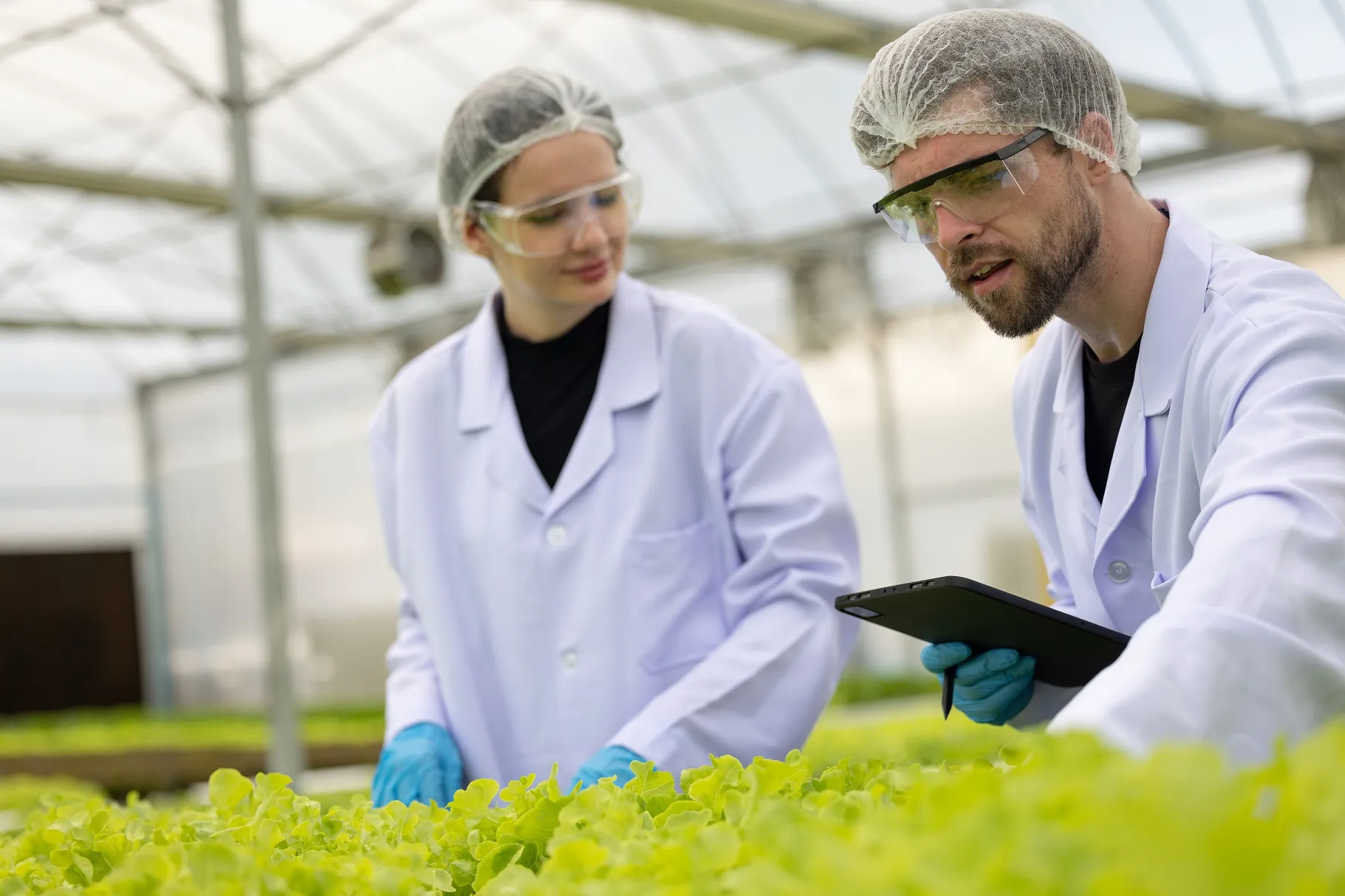 consultoría agroalimentaria para exportar