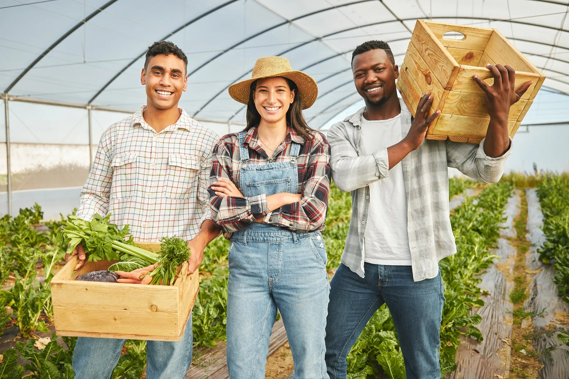 promoción agroalimentaria